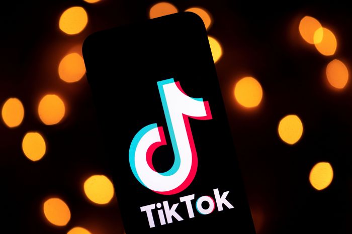 Merugikan, Tik Tok Cash dan Snack Video Resmi Diblokir